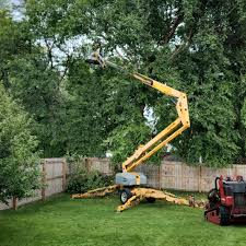 Best Landscape Design and Installation  in Foley, MN