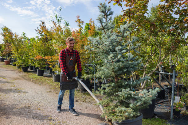 Mulching Services in Foley, MN